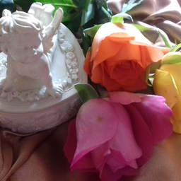 Image d'illustration