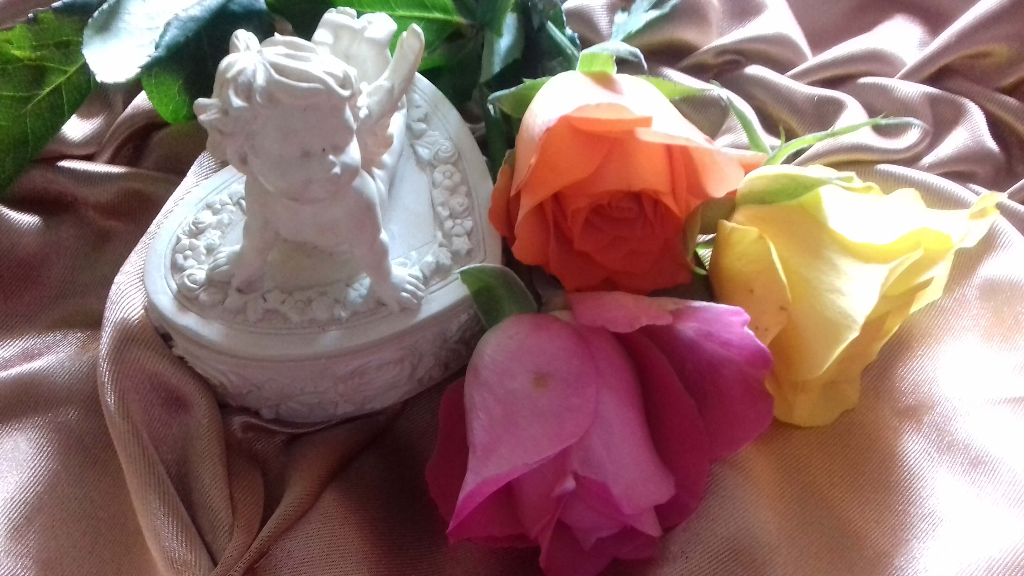 Image d'illustration